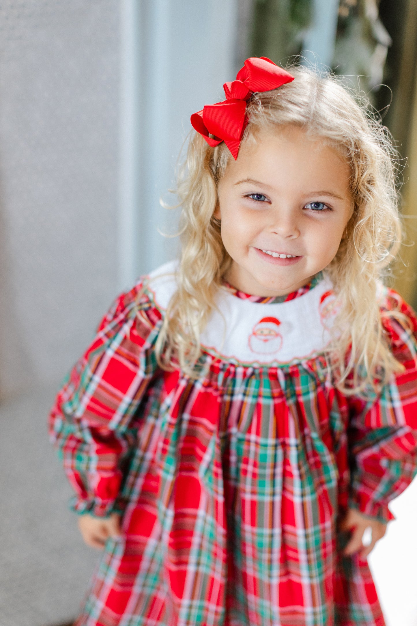 Santa Dress
